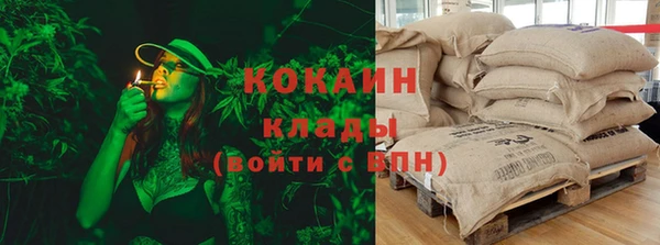 дурь Алексин